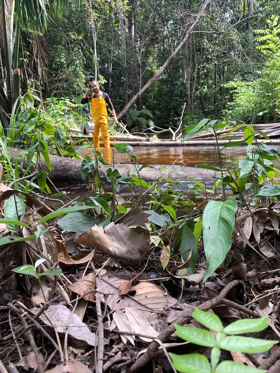 Atividade técnica de campo em área de floresta